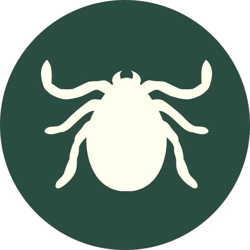 Pest Control
