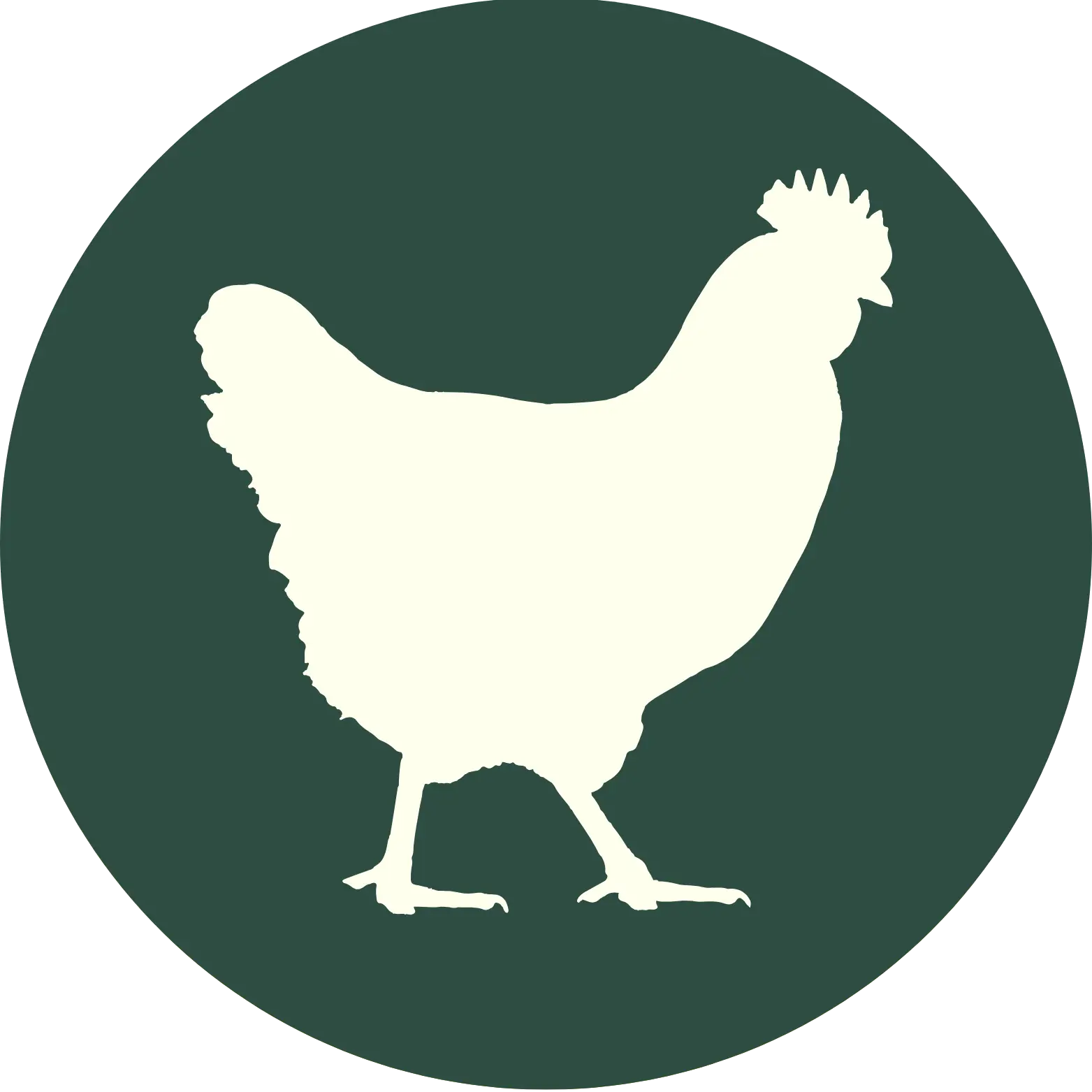 The Chicken Coop