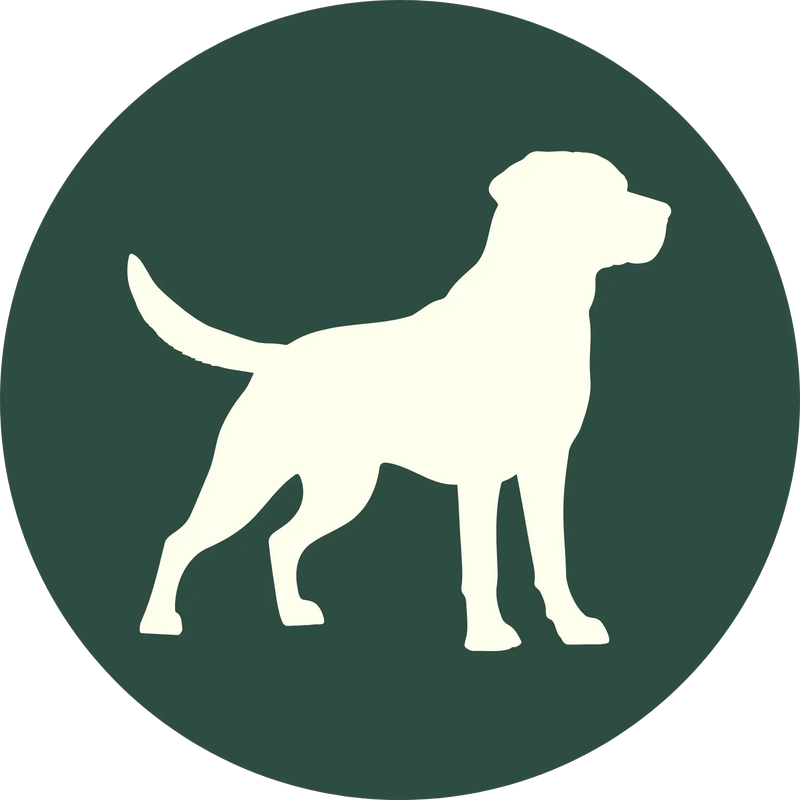 The Dog Kennel
