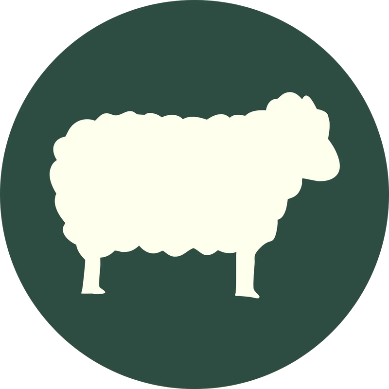 The Sheep Yards