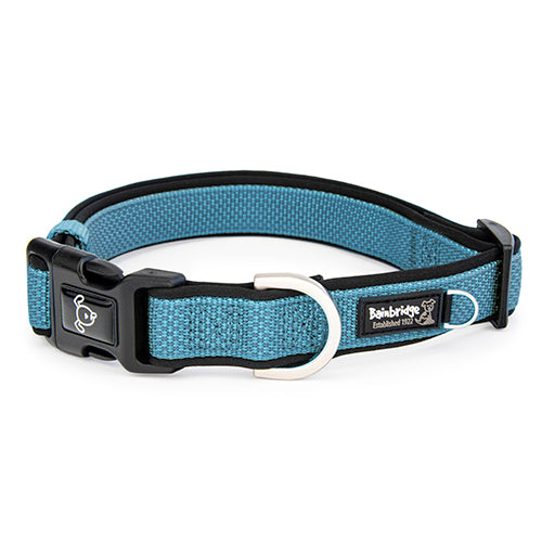 Premium Sport Dog Collar with Neoprene - XS