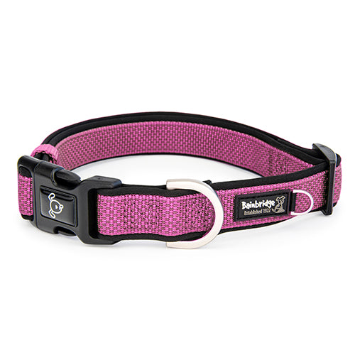 Premium Sport Dog Collar with Neoprene - M