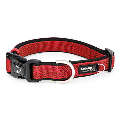 Premium Sport Dog Collar with Neoprene - M