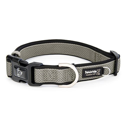 Premium Sport Dog Collar with Neoprene - M