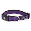Premium Sport Dog Collar with Neoprene - L