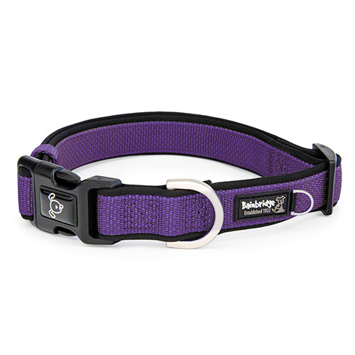 Premium Sport Dog Collar with Neoprene - L