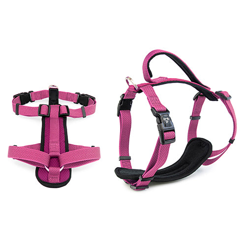 Premium Sport Dog Harness with Safety Handle - XL
