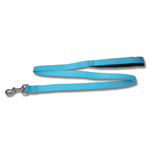 Dog Lead Webbed with Padded Handle (120cm x 25mm)