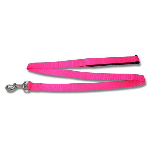 Dog Lead Webbed with Padded Handle (120cm x 25mm)