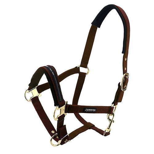 Bainbridge Horse Halter - Pony