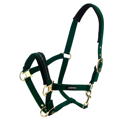 Bainbridge Horse Halter - Pony
