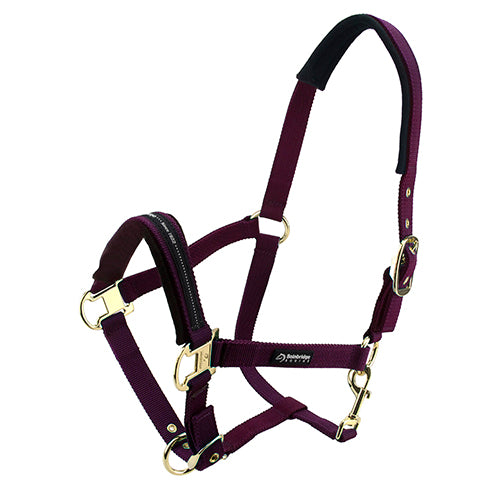 Bainbridge Horse Halter - Pony