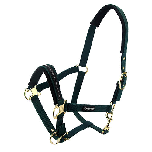 Bainbridge Horse Halter - Cob