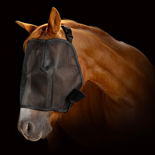Fly Mask Black Mesh
