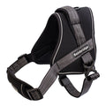Sport Harness Adjustable Padded