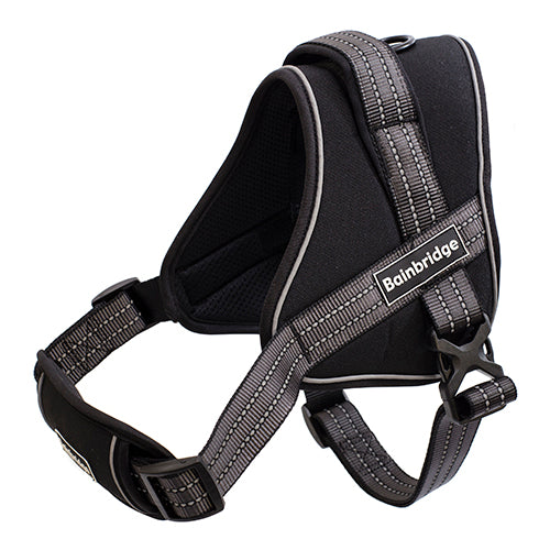 Sport Harness Adjustable Padded
