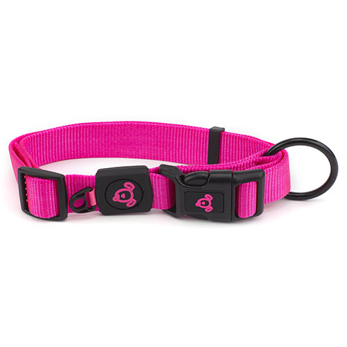 Nylon Dog Collar Premium - Extra Small