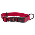 Nylon Dog Collar Premium - Medium