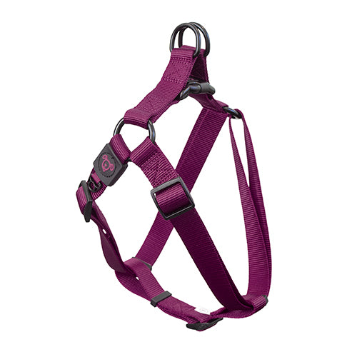 Nylon Step in Harness Premium - Small