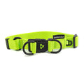 Nylon Double Ring Dog Collar Premium - Medium
