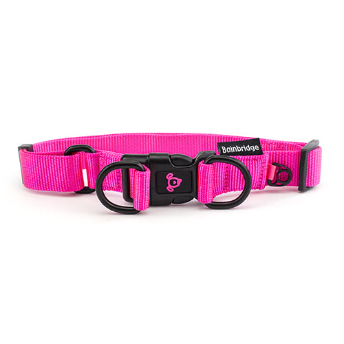 Nylon Double Ring Dog Collar Premium - Medium