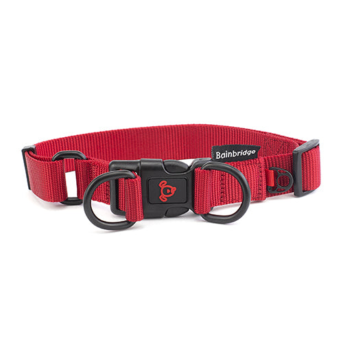 Nylon Double Ring Dog Collar Premium - Medium
