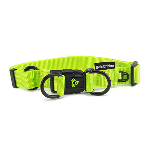 Nylon Double Ring Dog Collar Premium - Large