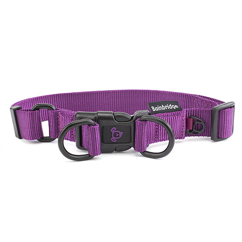 Nylon Double Ring Dog Collar Premium - Large