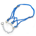 Hackamore Halter Bull