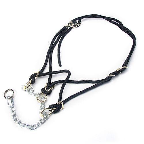 Hackamore Halter Bull