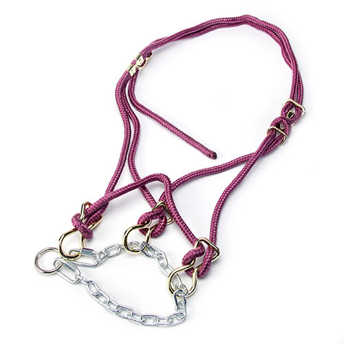 Hackamore Halter Bull