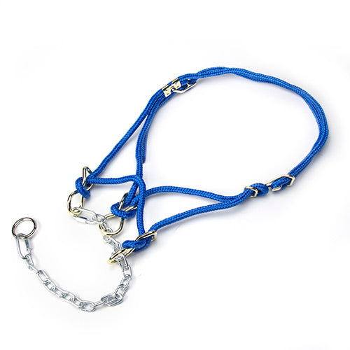 Hackamore Halter Cow