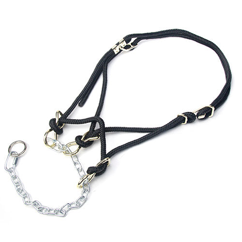 Hackamore Halter Cow