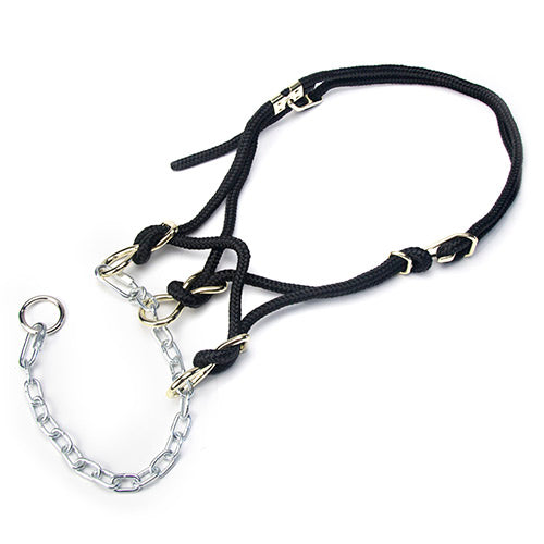 Hackamore Halter Heifer