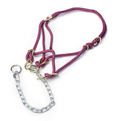Hackamore Halter Heifer