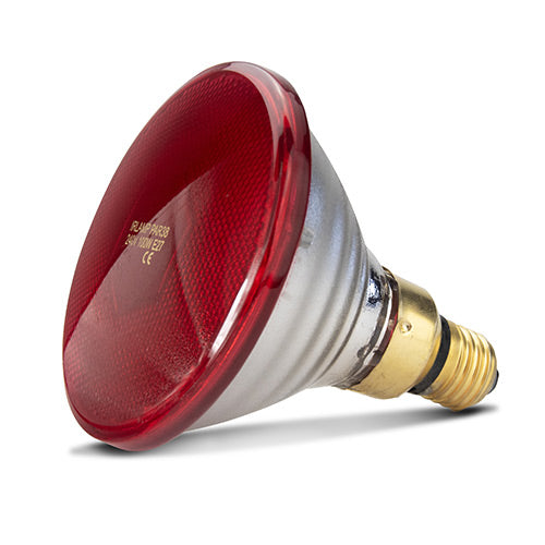 Infared Heat Lamp Bulb - Red