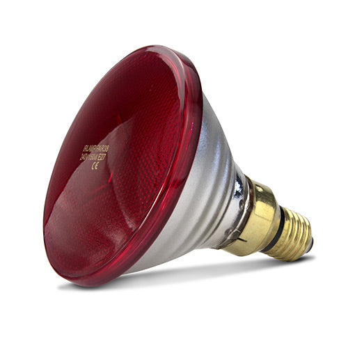 Infared Heat Lamp Bulb - Red