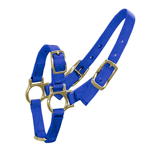 Halter for Sheep & Goats - Blue
