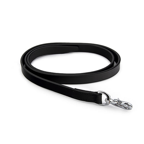 Leather Lead Black Silver Fittings