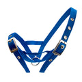 Cattle Halter Webbing Calf - Blue