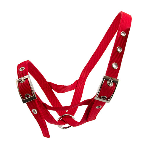 Cattle Halter Webbing Cow - Red
