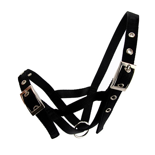 Cattle Halter Webbing Bull - Black