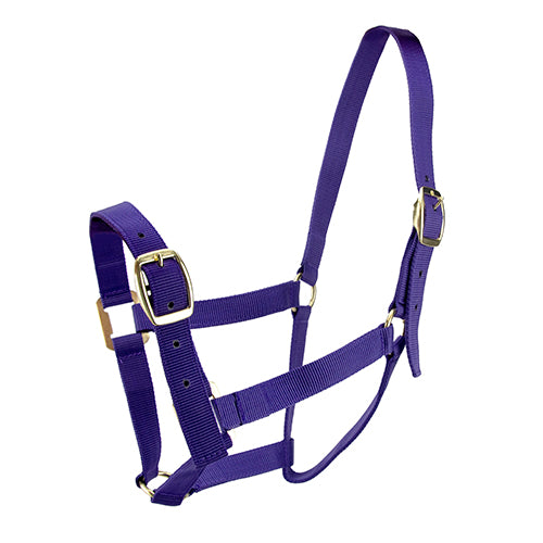 Horse Halter - Cob