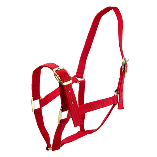 Horse Halter - Full