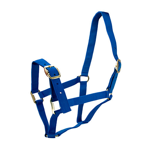 Horse Halter - Pony