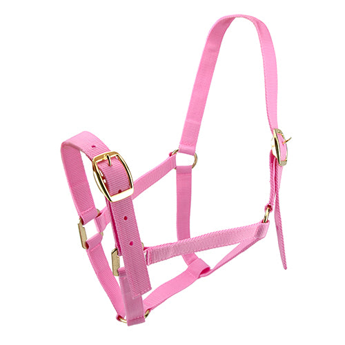 Horse Halter - Pony