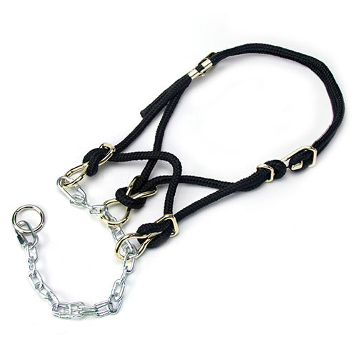 Hackamore Halter Calf