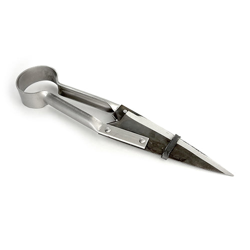 Due Buoi Shears - Straight