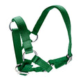 Halter for Alpacas