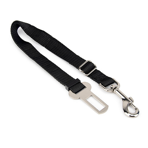 Car Safety Lead